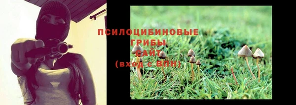 меф Арсеньев