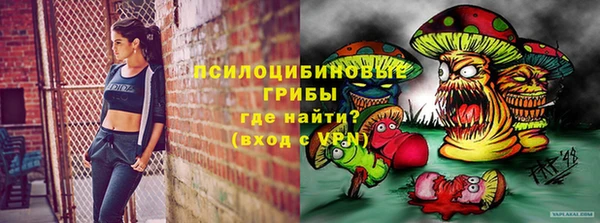 стаф Армянск