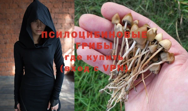 меф Арсеньев