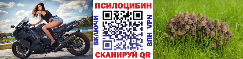 MEGA рабочий сайт  Миньяр  Галлюциногенные грибы MAGIC MUSHROOMS 