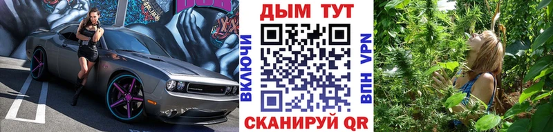 где можно купить наркотик  Миньяр  Канабис Bruce Banner 
